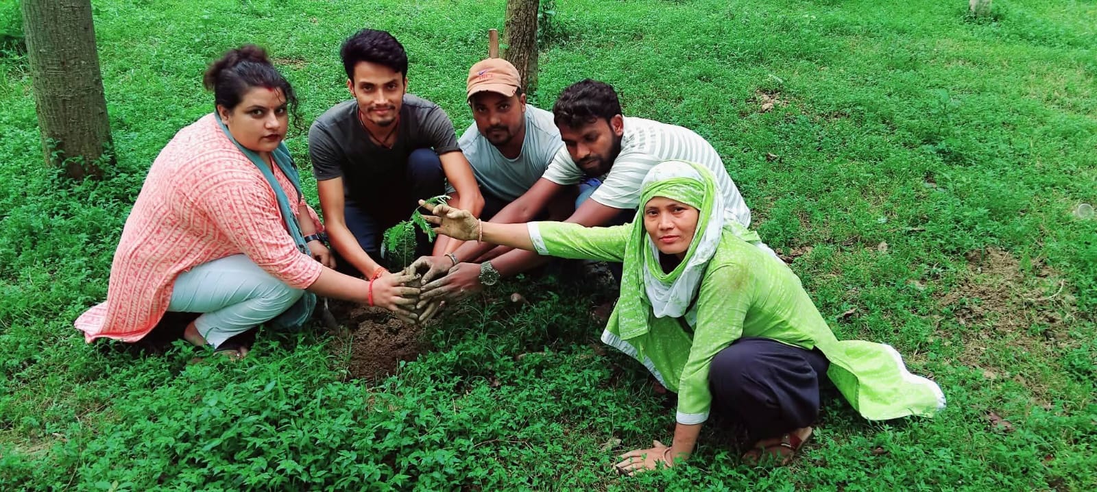 Tree Plantation